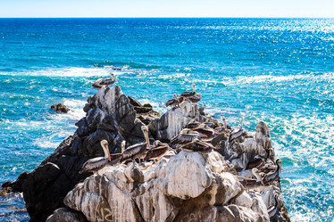 Similar image 13004933