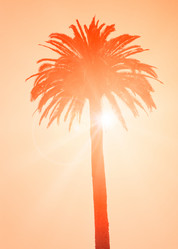 Similar image 13004935