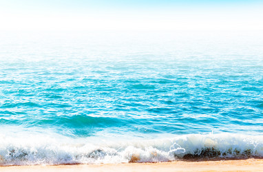 Similar image 13004937