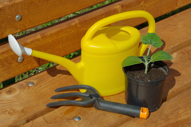 Similar image 13032900