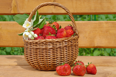 Similar image 13002749