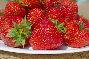 Similar image 13002750