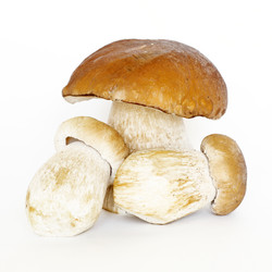 Similar image 13002729