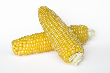 Similar image 13032886