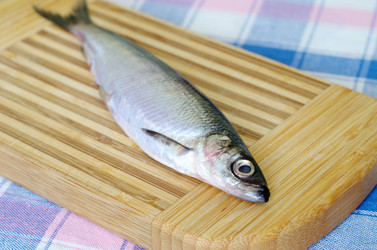 Similar image 13032902