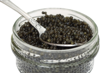 Similar image 13002733