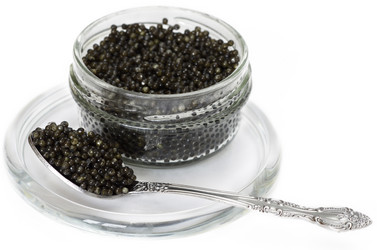 Similar image 13002752