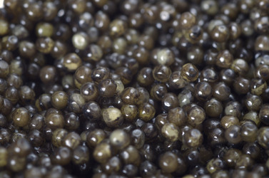 Similar image 13002754