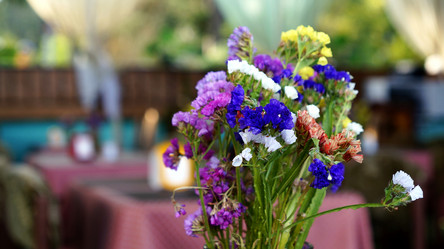 Similar image 13002511