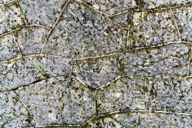 Similar image 13002513