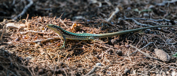 Similar image 13002514