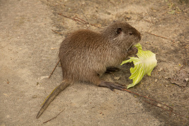 Similar image 13024928