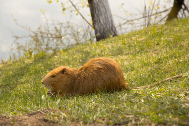 Similar image 13024930