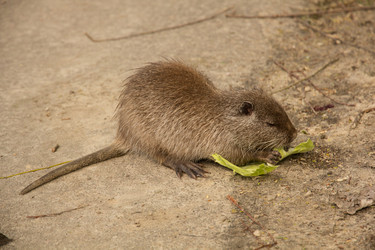 Similar image 13024931