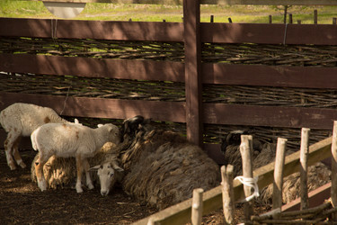 Similar image 13024934