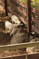 Similar image 13024935