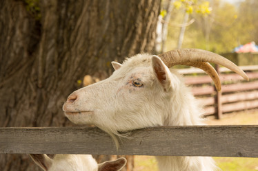 Similar image 13024936