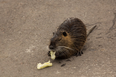 Similar image 13024937