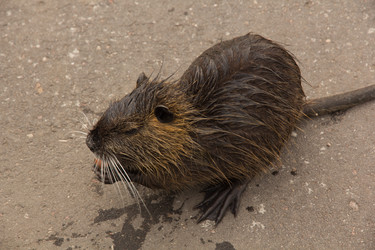 Similar image 13024938