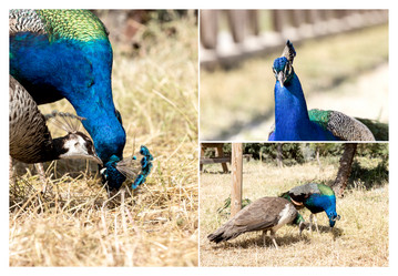 Similar image 13013453