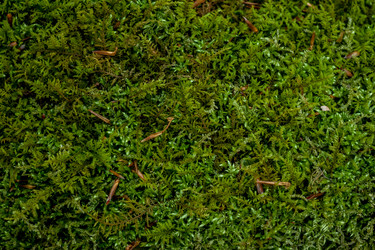 Similar image 13042118