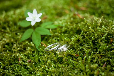 Similar image 13042138