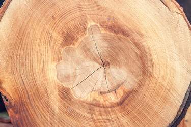 Similar image 13042139