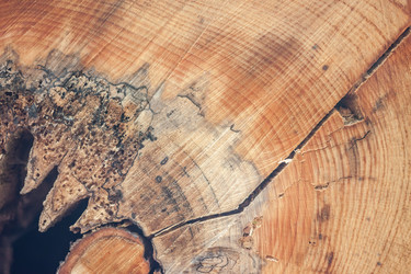 Similar image 13042162