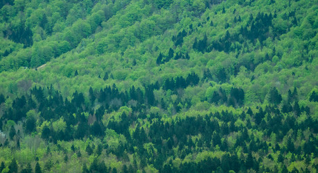 Similar image 13042165