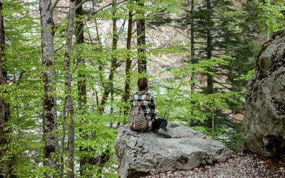 Similar image 13042167