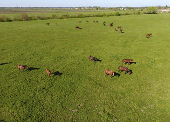 Similar image 13059187