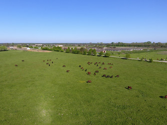 Similar image 13059278