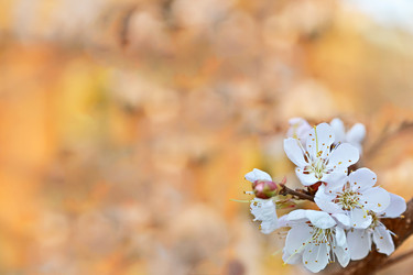 Similar image 13045086