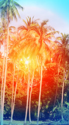 Similar image 13065109