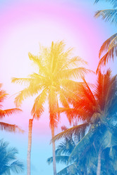 Similar image 13065111