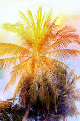 Similar image 13065113