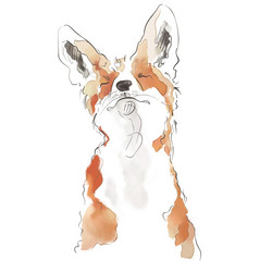 Similar image 13001941