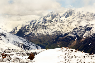 Similar image 13001946