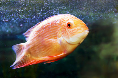 Similar image 13001953