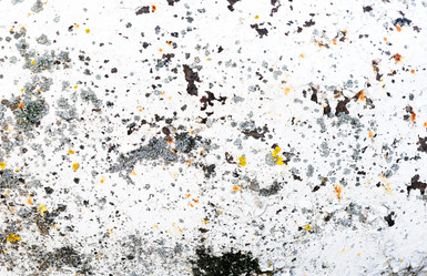 Similar image 13002111