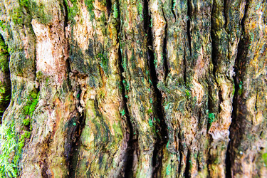 Similar image 13002113