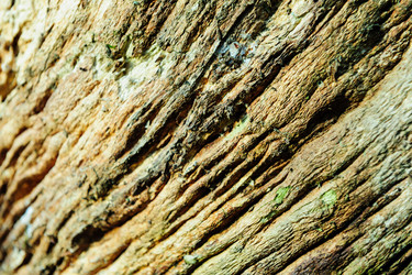 Similar image 13002115