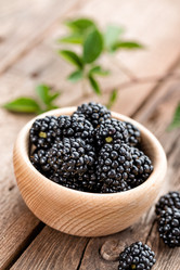 Similar image 13003442