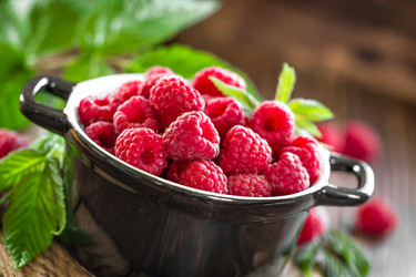 Similar image 13003445