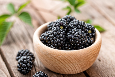 Similar image 13003447