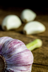 Similar image 13028613