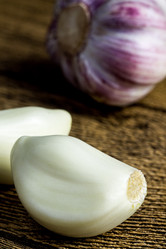 Similar image 13028615