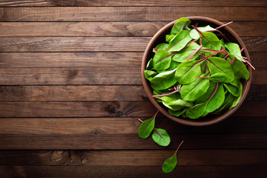 Similar image 13003495