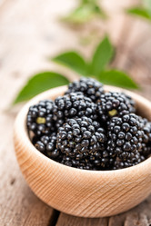 Similar image 13003403