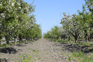 Similar image 13059189